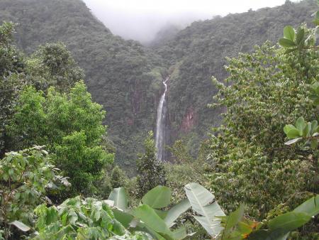 PAYSAGES de GUADELOUPE , FAUNE et FLORE.